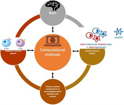 Editorial: Bioinformatic Tools for the Detection and Identification of Mechanisms in Immune Cells of Neuroimmunological Diseases